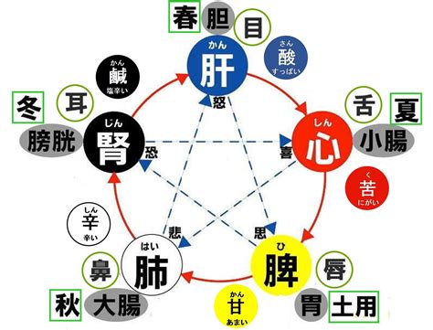 五行圖表 施法